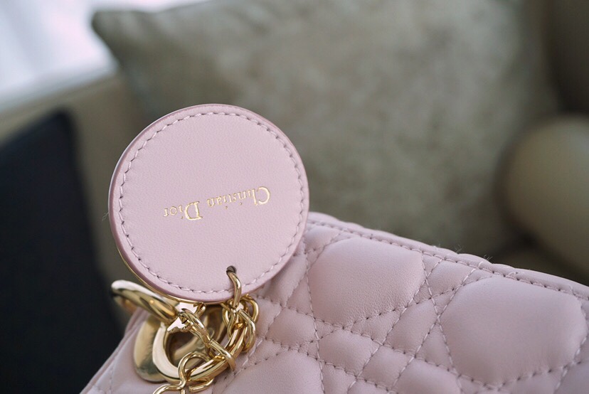 디올 엔젤 디올 레이디백 스몰