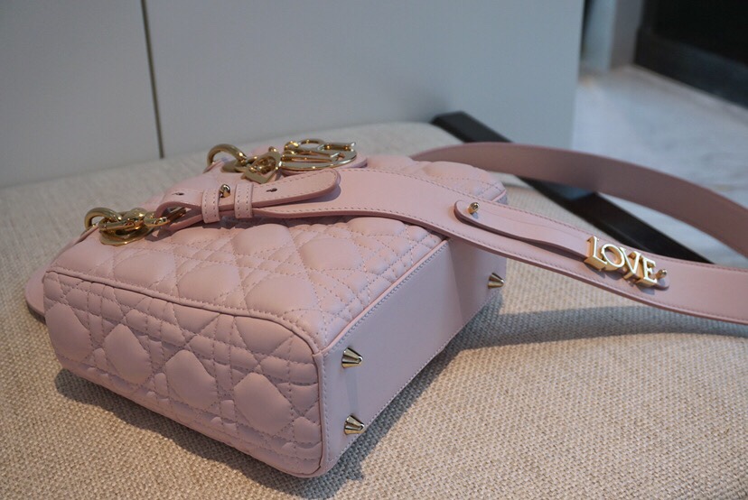 디올 엔젤 디올 레이디백 스몰