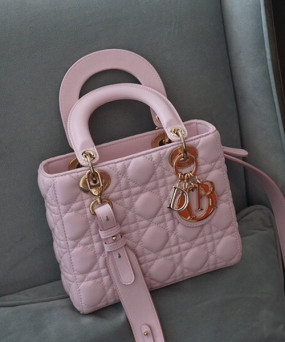 디올 엔젤 디올 레이디백 스몰