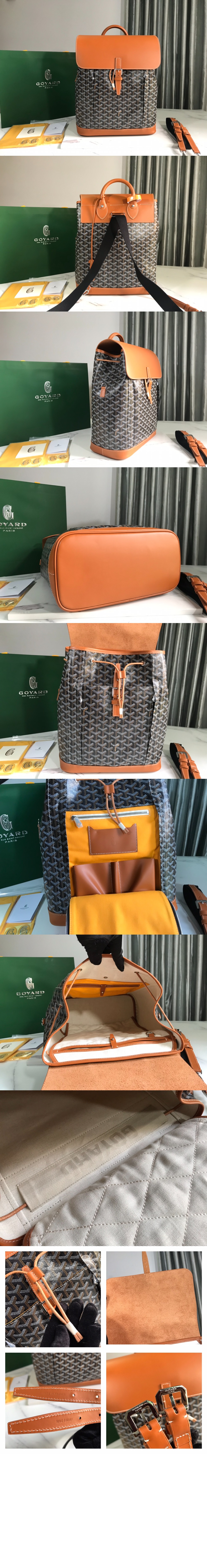 고야드 알핀 백팩 MM