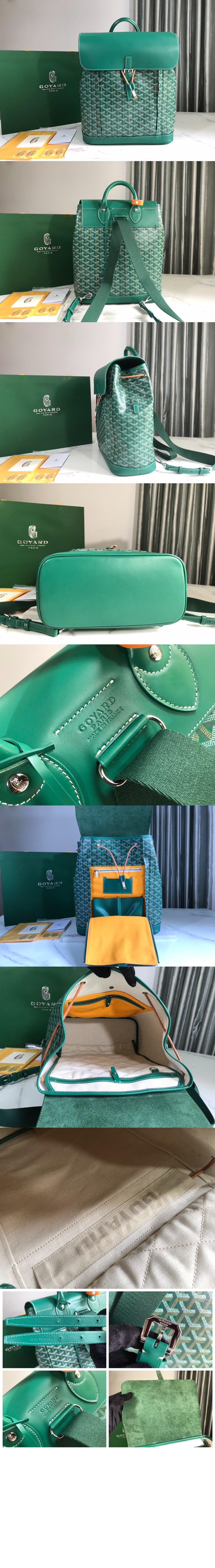 고야드 알핀 백팩 MM