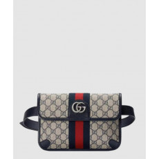 구찌 오피디아 GG 벨트백 674081