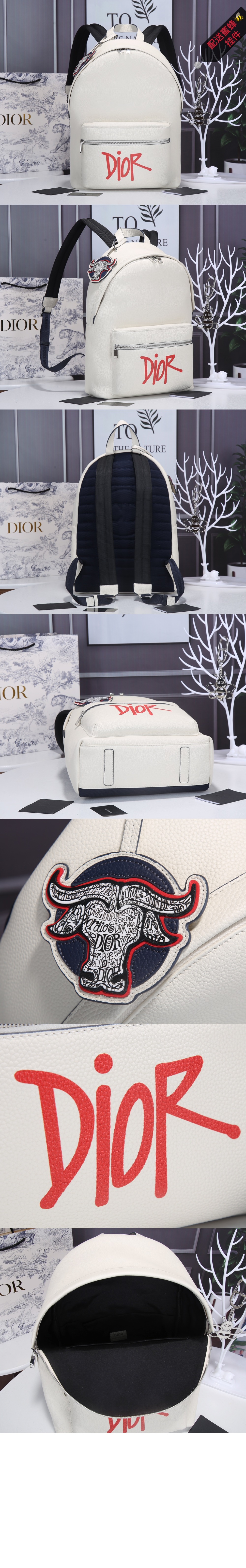 디올 라이더 백팩 1ESBA