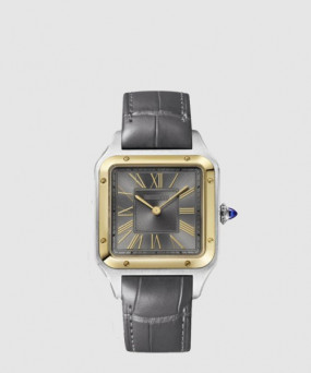 까르띠에 산토스-뒤몽 43.5 W2SA0028