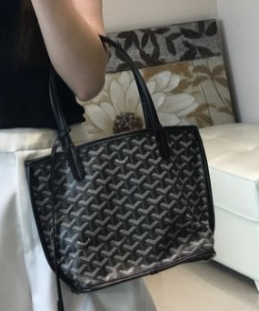 고야드 앙주 백 PM