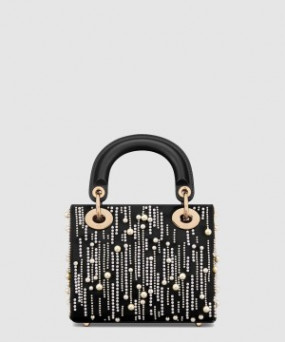 디올 레이디백 미니 M0505