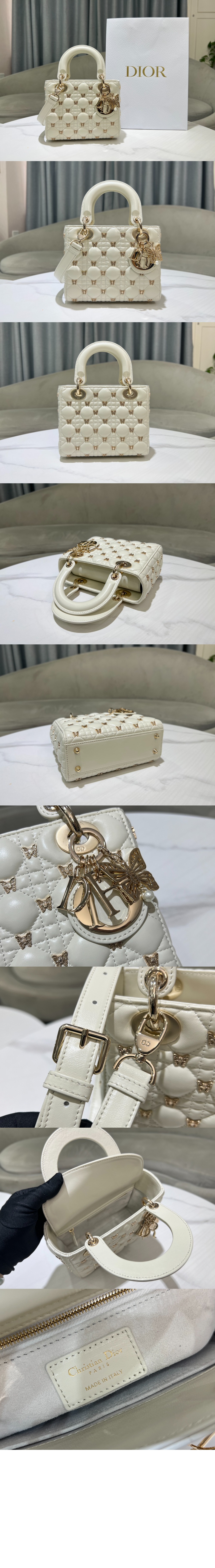 디올 레이디백 램스킨 스몰 M0531