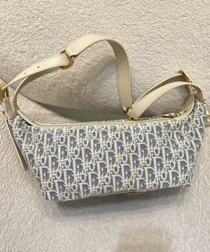 디올 디저니백 스몰