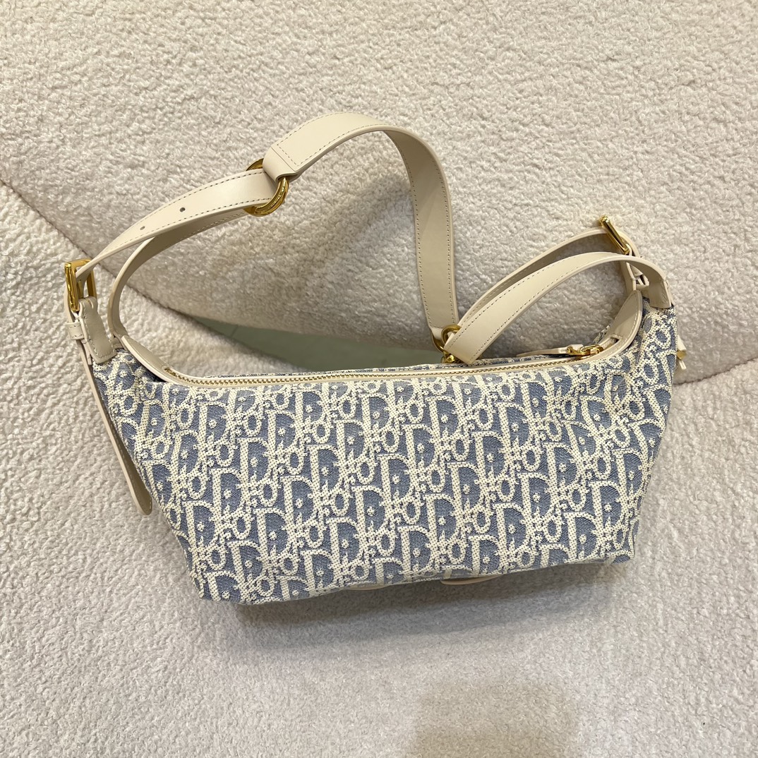 디올 디저니백 스몰