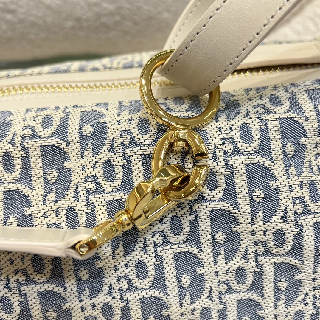 디올 디저니백 스몰