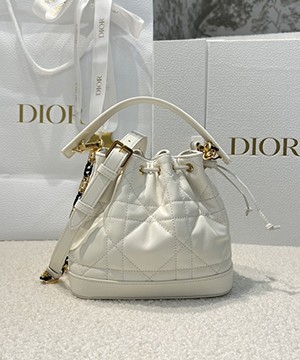 디올 졸리 버킷백 스몰 매크로 까나쥬