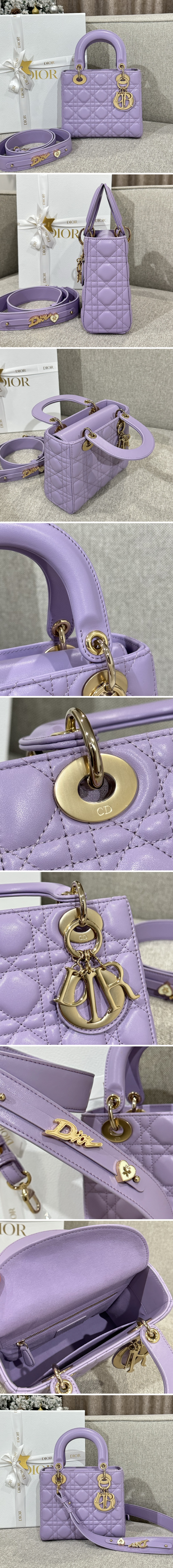 디올 레이디 까나쥬 백 20