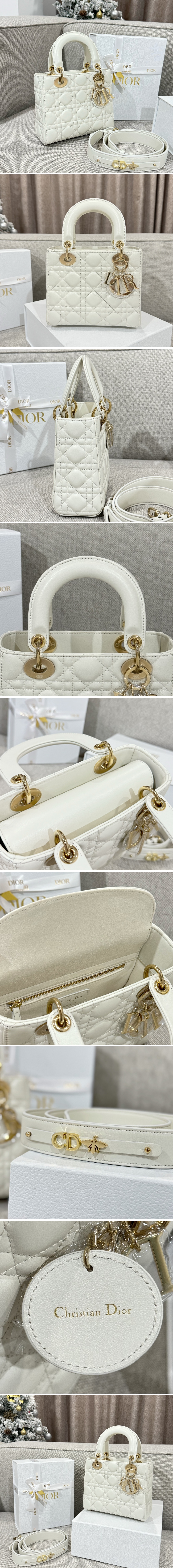 디올 레이디 까나쥬 백 20