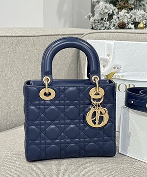 디올 레이디 까나쥬 백 20