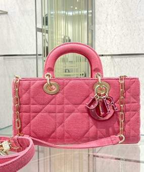 디올 레이디 디조이 미디움 백