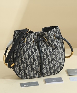 디올 노리타 미듐 백 오블리크 블루