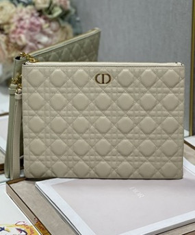 디올 미디움 카로 데일리 파우치