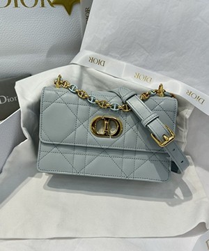 디올 카로 램 마크로캔 미니 레더