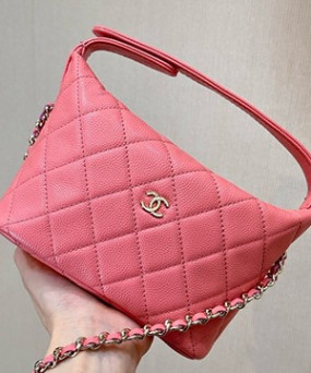 샤넬 25C 크루즈 미니 체인 호보백