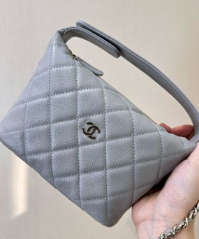 샤넬 25C 크루즈 미니 체인 호보백