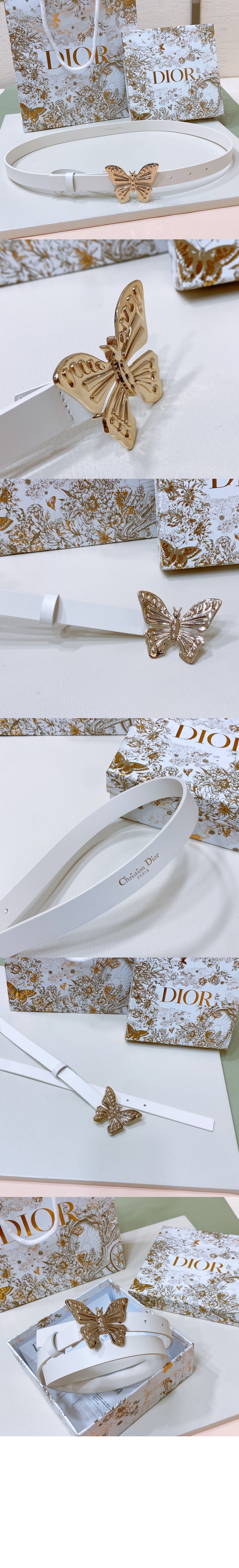 디올 메타모르포스 벨트 B0465