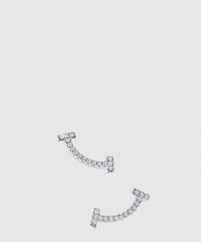 티파니앤코 스마일 귀걸이